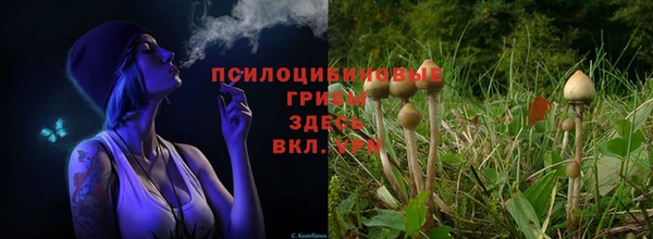 а пвп мука Алзамай