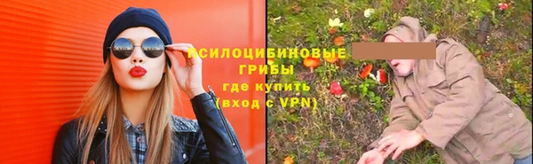 спиды Алексеевка