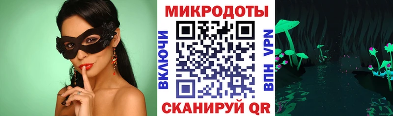 купить закладку  Нерчинск  MEGA   Псилоцибиновые грибы Psilocybe 